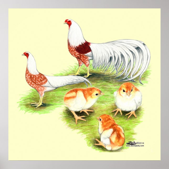 Affiche Yokohama Red Shoulder (Devant)