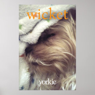 Affiche Yorkie Orange Nom & Photo