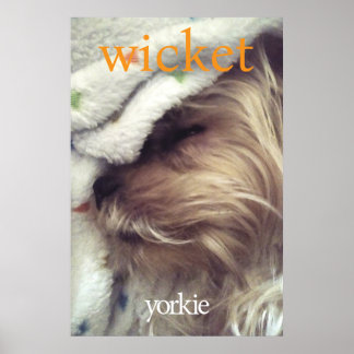 Affiche Yorkie Orange Nom & Photo