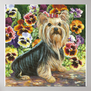 Affiche Yorkie Yorkshire Terrier in the Pansies Print