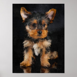 Affiche Yorkshire Terrier