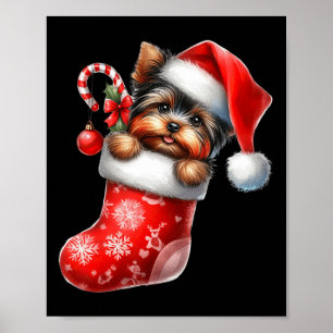 Affiche Yorkshire Terrier en Sock Noël Noël Noël Noël Noël