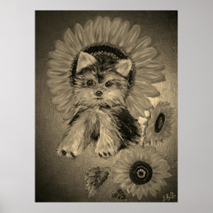 Affiche Yorkshire Terrier mignon avec tournesols