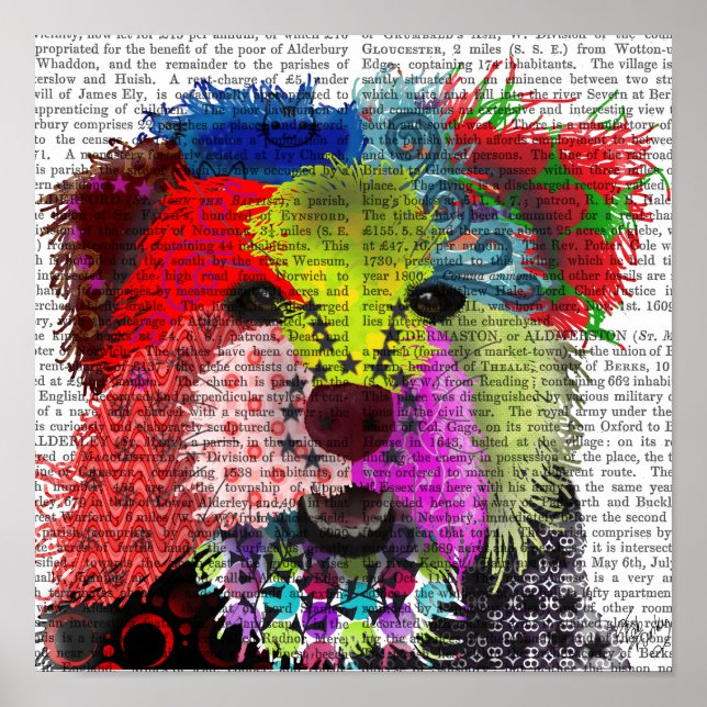 Affiche Yorkshire Terrier - Patchwork (Devant)