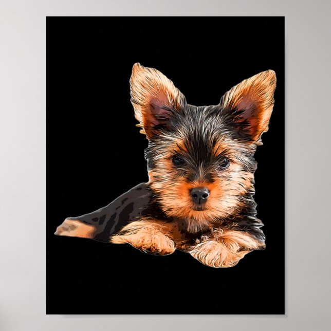 Affiche Yorkshire terrier Yorkie Chien chiot (Devant)