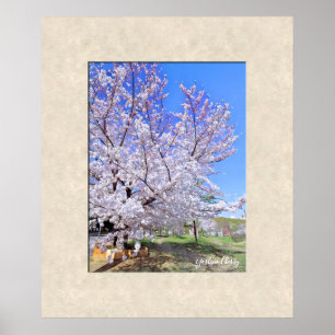 Affiche Yoshino Cherry