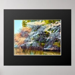 Affiche Yoshino Cherry