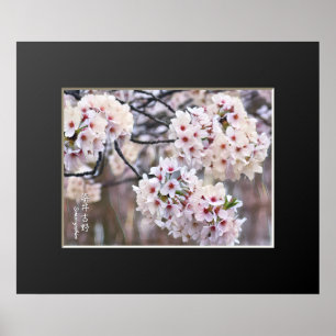 Affiche Yoshino Cherry