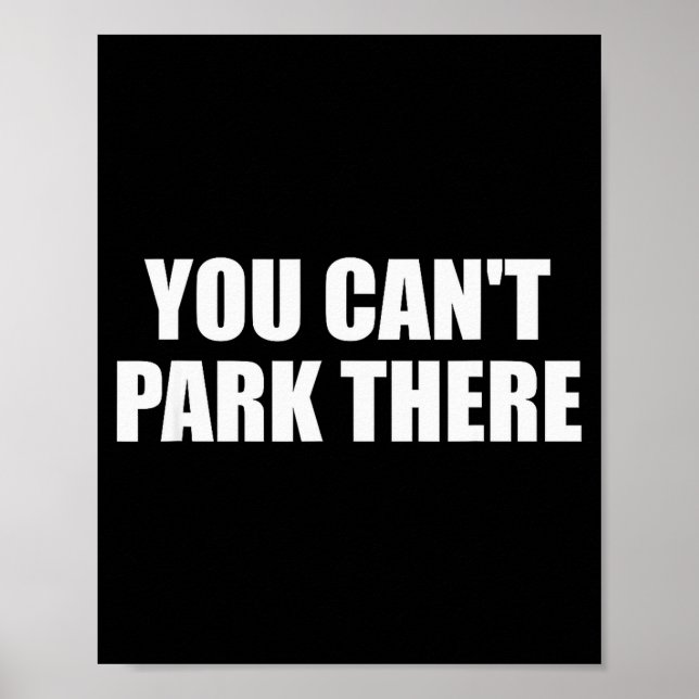 Affiche You Cant Park There Funny Viral Car Meme Sarcasm M (Devant)