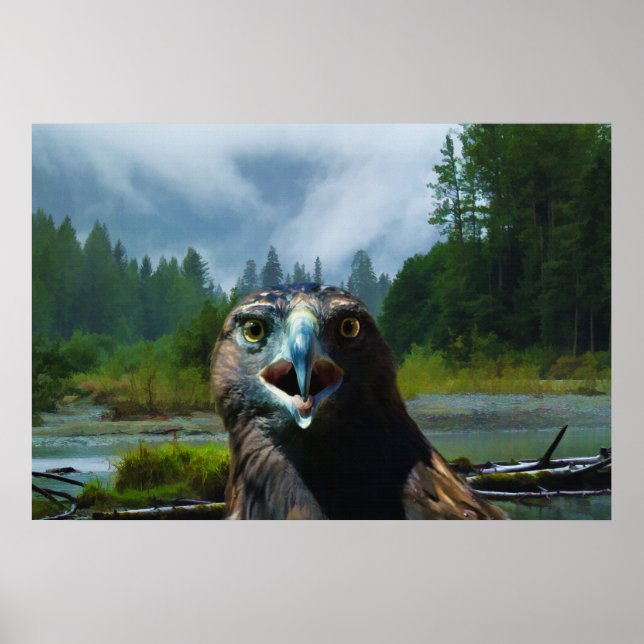 Affiche Young Bald Eagle et Misty Alaskan River (Devant)