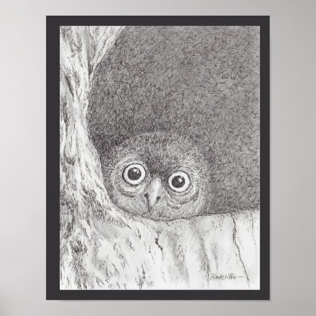 Affiche Young Hawk Owl Print (Devant)