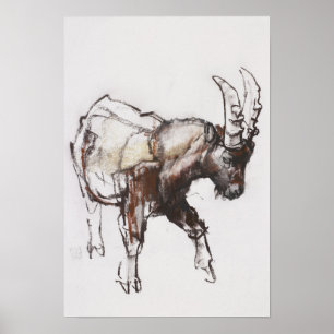 Affiche Young Ibex Gran Paradiso 2005