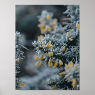 Affiche Your Own Personalised Photo Poster.