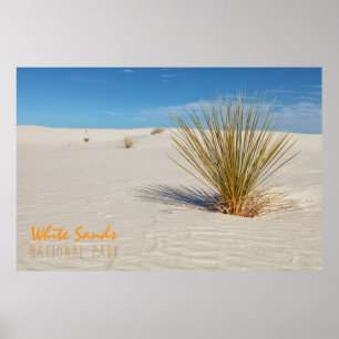 Affiche Yucca à White Sands