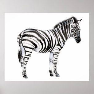 Affiche Zebra