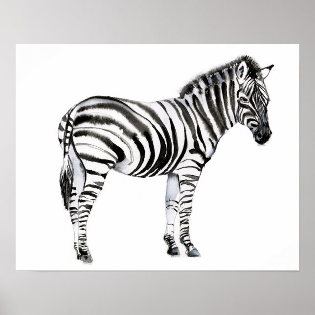 Affiche Zebra (Devant)