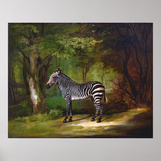 Affiche Zebra (1763) peinture de George Stubbs (Devant)