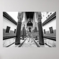 Zebra Black White Building Landscape