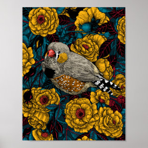 Affiche Zebra finch et buisson rose