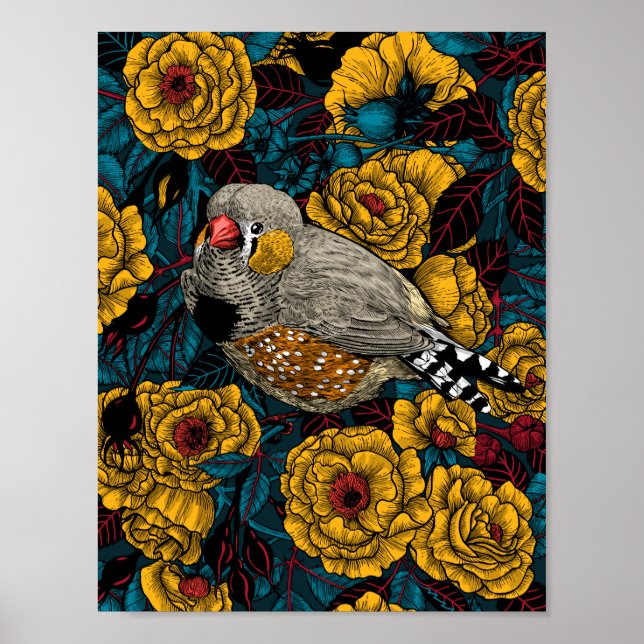 Affiche Zebra finch et buisson rose (Devant)