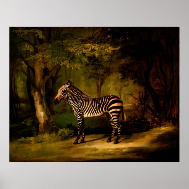 Affiche Zebra par George Stubbs (1763) (Devant)