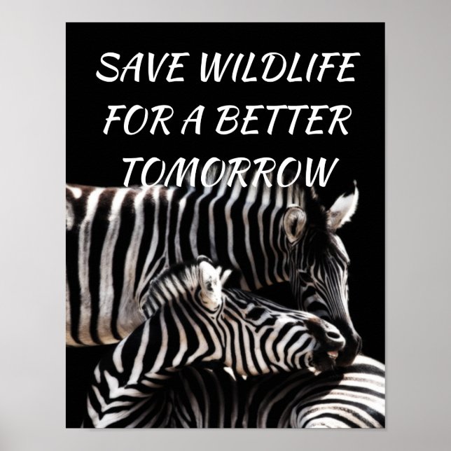 Affiche Zebra, sauvez la faune pour un avenir meilleur pou (Devant)