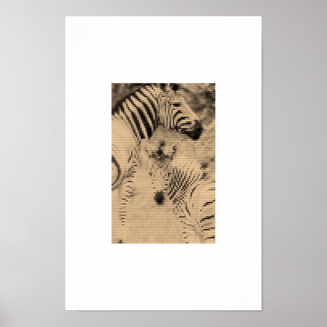 Affiche Zebrix (Devant)