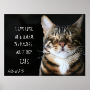 Affiche Zen Cat/ Cat Quote