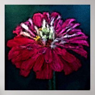 Affiche Zinnia en plumes