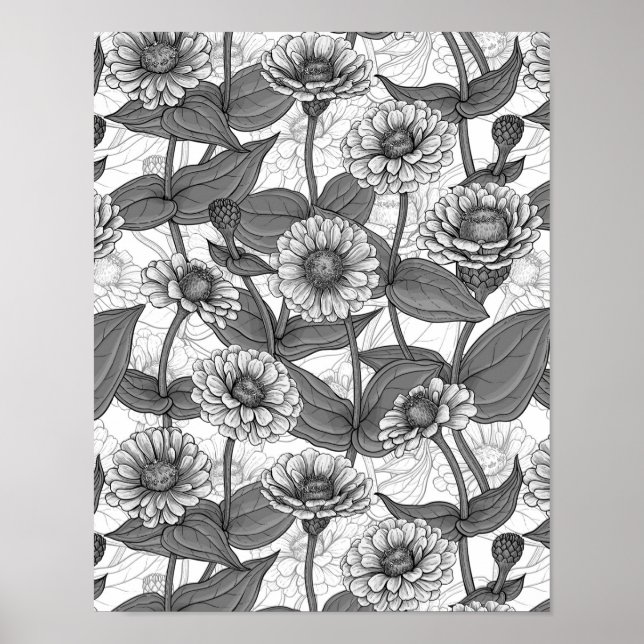 Affiche Zinnias, monochrome sur blanc (Devant)