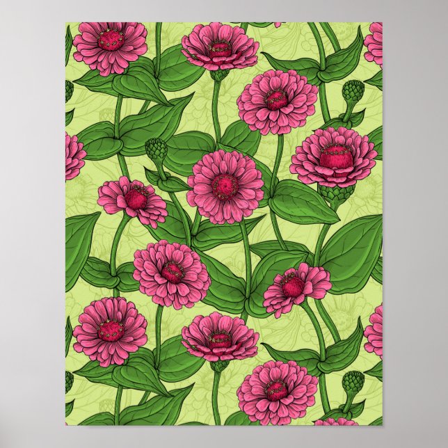 Affiche Zinnias rose sur vert clair (Devant)