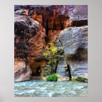 Zion de l'arbre solitaire Parc national Virgin Riv