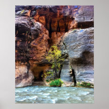 Zion de l'arbre solitaire Parc national Virgin Riv
