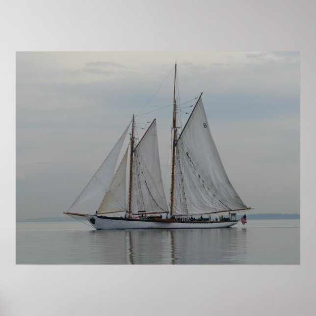 Affiche Zodiaque (Devant)