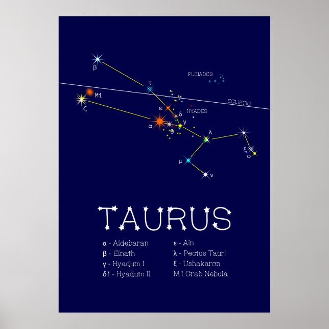 Affiche Zodiaque Taurus (Devant)