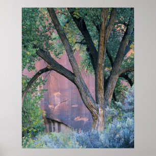 Affiche Zone de loisirs national de Glen Canyon, Utah. Éta