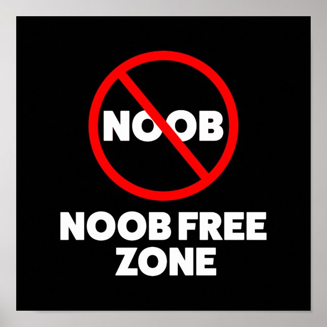 Affiche Zone libre Noob (Devant)