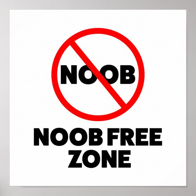 Affiche Zone libre Noob (Devant)