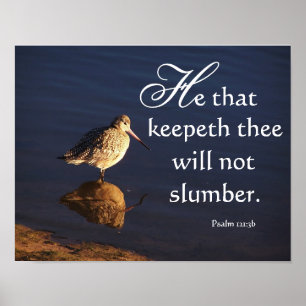 Affiche Zones humides Godwit Oiseau Dieu vous gardera impr