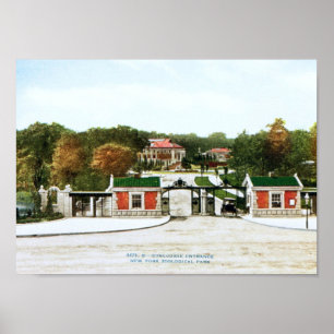 Affiche Zoo de Bronx, cru de New York City