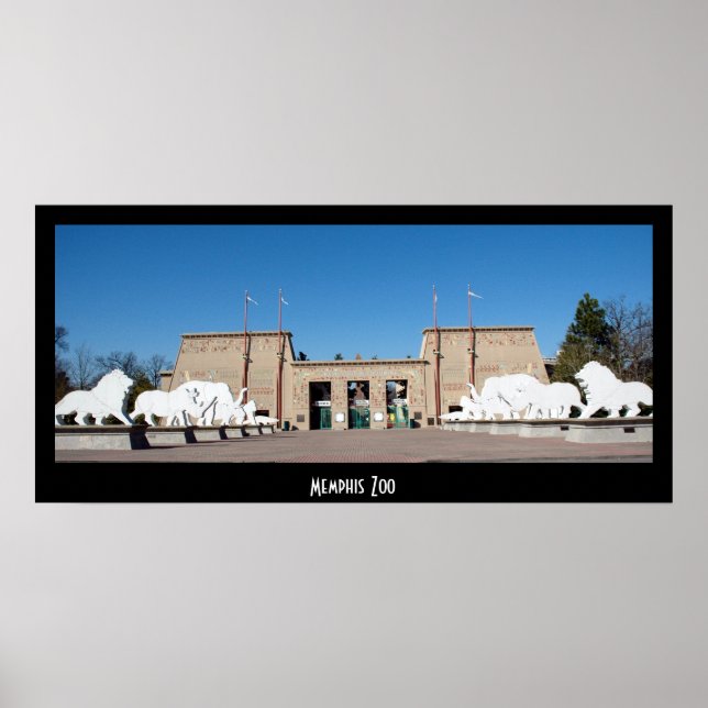 Affiche Zoo de Memphis (Devant)