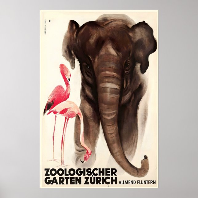 Affiche Zoo suisse de Zurich Eléphant Flamant Animal (Devant)