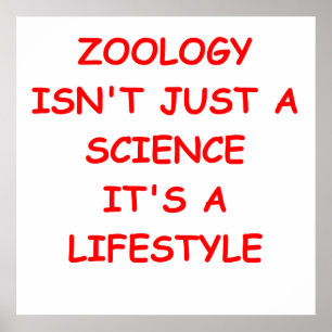 Affiche zoologie