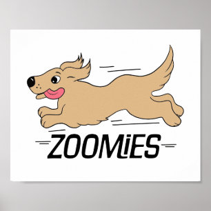 Affiche Zooms de chien