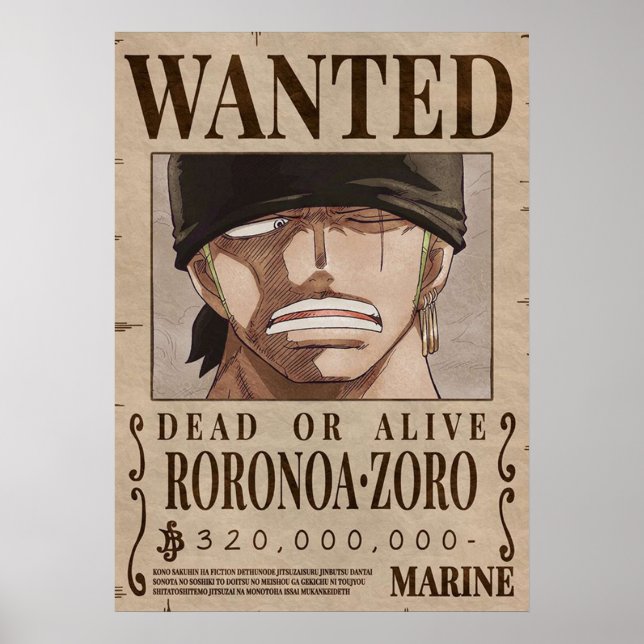 Affiche Zoro Recherché une pièce (Devant)