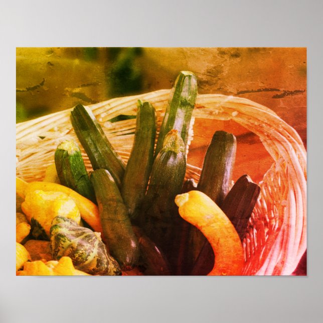 Affiche Zucchini Summer Squash Gourds Légumes Vintage (Devant)
