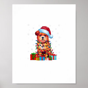 Affiche Zuchon Chien Moche Noël Éclairage Santa Hat Zuchon