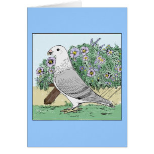 Afficher la couleur des courroies et des fleurs