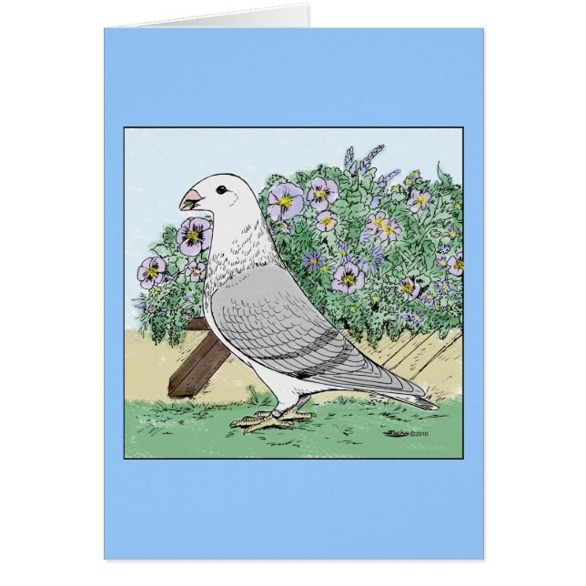 Afficher la couleur des courroies et des fleurs (Devant)