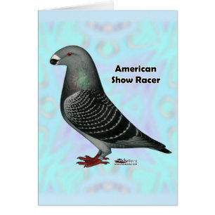 Afficher l'ASR racer